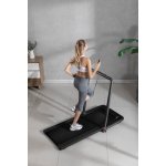 Flow Fitness DTM200i – Hledejceny.cz