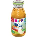 HiPP BIO Jablečno-hroznová 200 ml – Zbozi.Blesk.cz