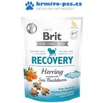 Brit snack Recovery herring & sea buckthorn 150 g – Zboží Dáma Brit snack Recovery herring & sea buckthorn 150 g – Zboží Dáma