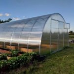 Scobax Agroman 12 x 4 m polykarbonát 4 mm BDX00861 – Zboží Dáma