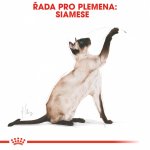 Royal Canin Siamese Adult 10 kg – Zboží Mobilmania