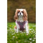 Vsepropejska Dumo postroj pro psa s vodítkem – Zboží Dáma