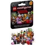 LEGO® Minifigurka 71047 Dungeons & Dragons® – Zbozi.Blesk.cz