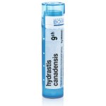 HYDRASTIS CANADENSIS POR 9CH GRA 1X4G – Hledejceny.cz