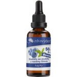 DAR Z PŘÍRODY, s.r.o. Sladidlo se sladidly z rostliny stévie 50 ml – Sleviste.cz