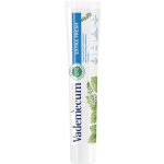 Vademecum Extra Fresh Pepermint 75 ml – Hledejceny.cz