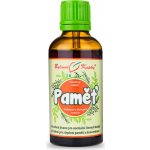 Bylinné kapky Paměť kapky tinktura 50 ml – Hledejceny.cz