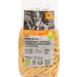 Girolomoni Těstoviny penne rigate Cappelli semolinové bio 0,5 kg – Zboží Dáma