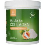 Pokusa RAW DietLine Collagen 200 g – Hledejceny.cz