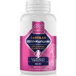 Altervet Cartilan MSM+kurkumin 130 g 100 tbl – HobbyKompas.cz