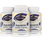 Golden Nature 2+1 Aquamin Vápník+Hořčík 300 kapslí – Hledejceny.cz