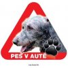 Autovýbava Grel nálepka na sklo pozor pes v autě irský vlkodav