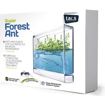 Forest Ant Ecoterrarium