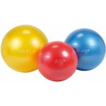 Gymnic classic Plus 55 cm – Zboží Dáma
