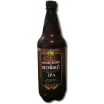 Beskydské Hořké IPA 14° 6,5% 1 l (pet) – Zboží Dáma