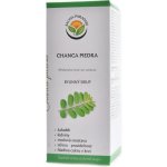 Salvia paradise Chanca piedra DS sirup Phyllanthus niruri 180 ml – Hledejceny.cz
