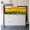 Tapety WEBLUX Fototapeta do kuchyně fólie Stunning Vineyard Sunset - 42395057 Ohromující západ slunce na vinici rozměry 180 x 60 cm