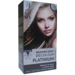 Professional Hair Care Destiny 5D Decolour Platinium bílý platinový melír na vlasy 40 g + 80 ml – Zboží Mobilmania