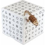 Escape Welt Secret Box – Hledejceny.cz