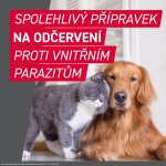 Frontcontrol Wormer pro kočky 4 kg 2 tablety – Zboží Mobilmania