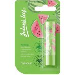 Regina Meloun pomáda na rty jelení lůj 4,5 g – Hledejceny.cz