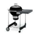 Weber Performer GBS 15301004