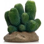 GiganTerra Umělý kaktus Mexico 12x12x13 cm – Zboží Dáma