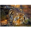 Kalendář Wild Tigers Wall 2024 DIN A3 landscape CALVENDO 12 Month Wall 2024