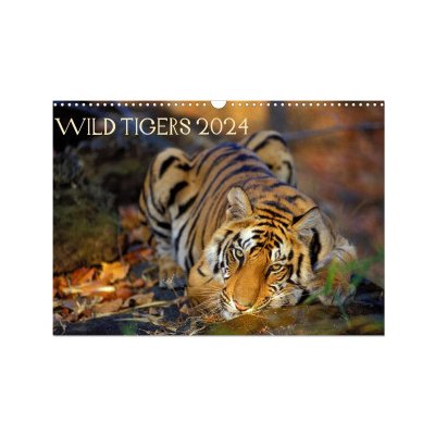 Wild Tigers Wall 2024 DIN A3 landscape CALVENDO 12 Month Wall 2024