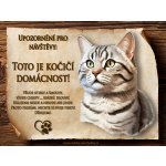 Cedulky-sporthobby 005 Cedulka Kočka Americká krátkosrstá Slovenština 20 x 15 cm – Zboží Dáma