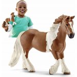 Schleich 13773 Tinkerská kobyla – Hledejceny.cz