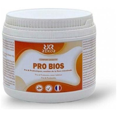 REKOR Prebiotika a probiotika 300 g – Hledejceny.cz