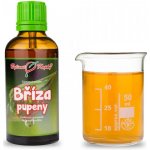 Bylinné kapky Bříza pupeny gemmoterapie tinktura z pupenů 50 ml – Hledejceny.cz