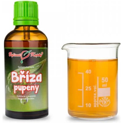 Bylinné kapky Bříza pupeny gemmoterapie tinktura z pupenů 50 ml – Hledejceny.cz