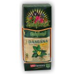 Damiána 600 mg pro povzbuzení a duševní pohodu 90 kapslí – Hledejceny.cz