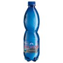 Magnesia neperlivá 12 x 500 ml