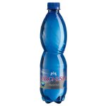 Magnesia neperlivá 12 x 0,5 l – Zboží Dáma