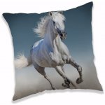 Jerry Fabrics Polštář Hráč 40x40 – Sleviste.cz