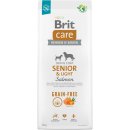 Brit Care Grain-free Senior & Light Salmon 12 kg