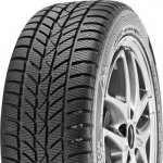 Hankook Winter i*cept RS W442 205/65 R15 99T – Hledejceny.cz