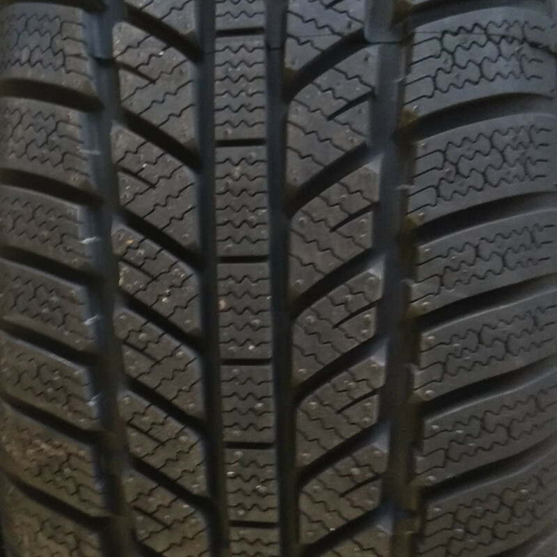 Evergreen EW62 195/65 R15 91T