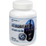 Nutricius Arthroboswell 180 tablet – Hledejceny.cz