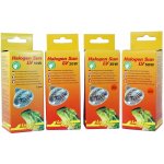 Lucky Reptile Halogen Sun LV 10 W Double Pack FP-63430 – Hledejceny.cz