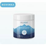 Collamedic Collagen ArthroAid kapsle na klouby 60 ks – Hledejceny.cz