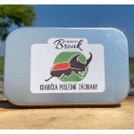 Kousky světa KPZ Brouk Nosorožík – Zboží Dáma
