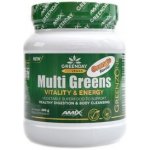 Amix ProVegan MultiGreens Vitality & Energy Orange 300 g – Hledejceny.cz