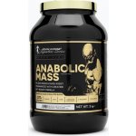 Kevin Levrone ANABOLIC MASS 3000 g – Zboží Dáma
