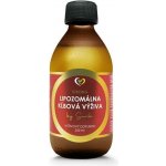 Zdravý Svet Lipozomální kloubní výživa 250 ml – Hledejceny.cz