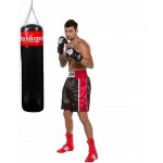 DBX BUSHIDO Boxovací pytel WP130x35 – Zbozi.Blesk.cz