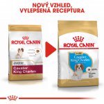 Royal Canin Kavalír King Charles Puppy 1,5 kg – Sleviste.cz